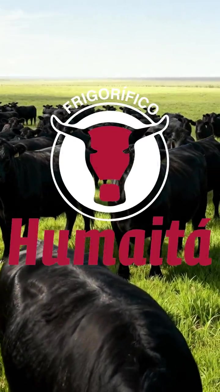 Humaitá — advertising video still